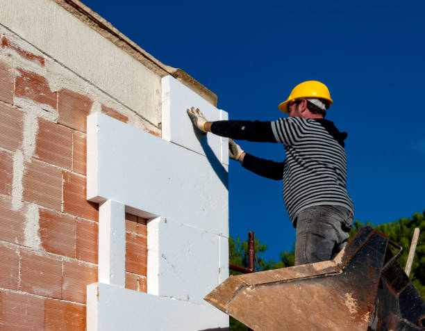 Best Eco-Friendly Insulation in Woodburn, IN