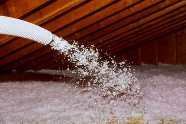 Best Insulation Maintenance and Repair in Woodburn, IN